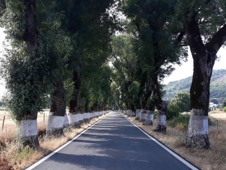 O Casulo Villa Marvao  Luaran gambar